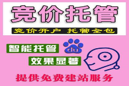 某品牌SEM推广竞价代运营全流程详解